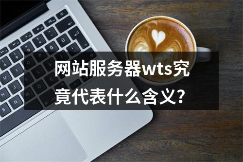 网站服务器wts究竟代表什么含义?