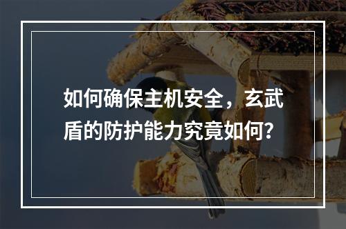 如何确保主机安全,玄武盾的防护能力究竟如何?