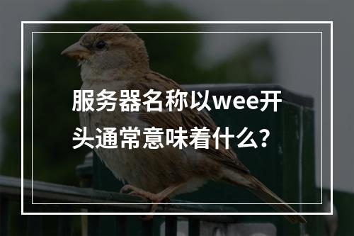 服务器名称以wee开头通常意味着什么?