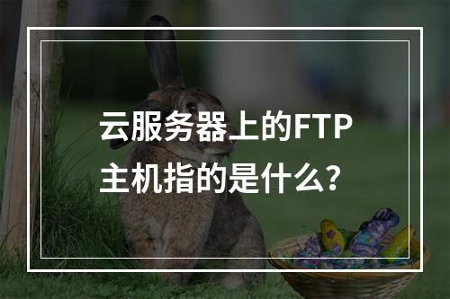 云服务器上的FTP主机指的是什么?