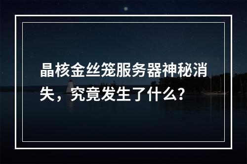 晶核金丝笼服务器神秘消失,究竟发生了什么?