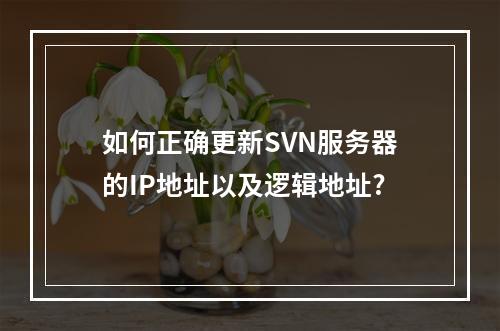 如何正确更新SVN服务器的IP地址以及逻辑地址?