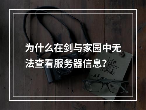为什么在剑与家园中无法查看服务器信息?
