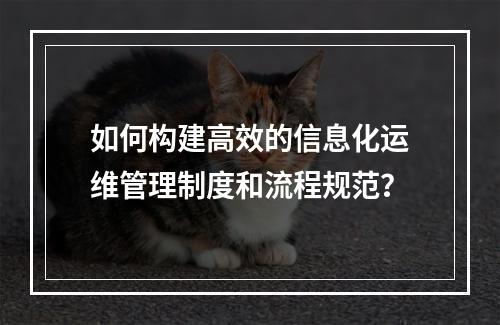 如何构建高效的信息化运维管理制度和流程规范?