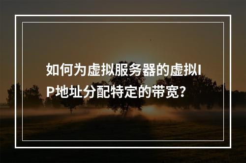如何为虚拟服务器的虚拟IP地址分配特定的带宽?