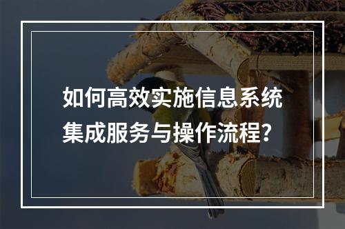如何高效实施信息系统集成服务与操作流程?