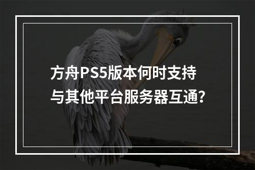 方舟PS5版本何时支持与其他平台服务器互通?