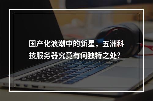 国产化浪潮中的新星,五洲科技服务器究竟有何独特之处?