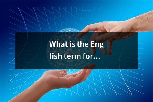 What is the English term for server hardware?