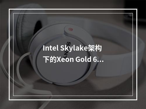 Intel Skylake架构下的Xeon Gold 6161 x86 V5处理器实例,性能和特性如何?