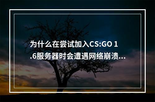 为什么在尝试加入CS:GO 1.6服务器时会遭遇网络崩溃?