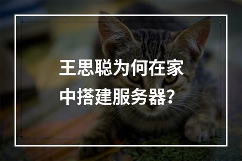 王思聪为何在家中搭建服务器?