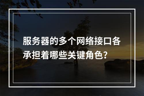 服务器的多个网络接口各承担着哪些关键角色?