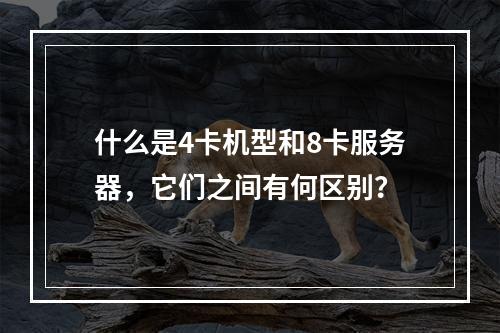 什么是4卡机型和8卡服务器,它们之间有何区别?