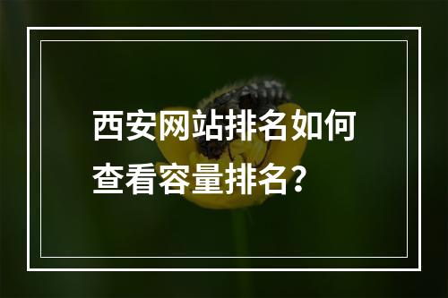 西安网站排名如何查看容量排名?