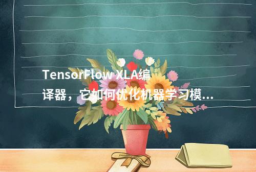 TensorFlow XLA编译器,它如何优化机器学习模型的性能?
