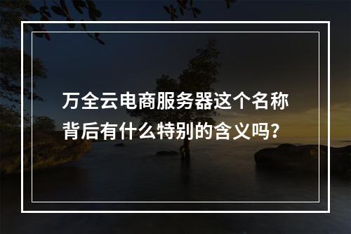万全云电商服务器这个名称背后有什么特别的含义吗?