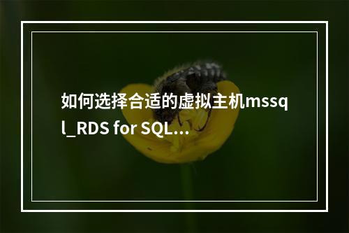 如何选择合适的虚拟主机mssql_RDS for SQL Server实例规格?
