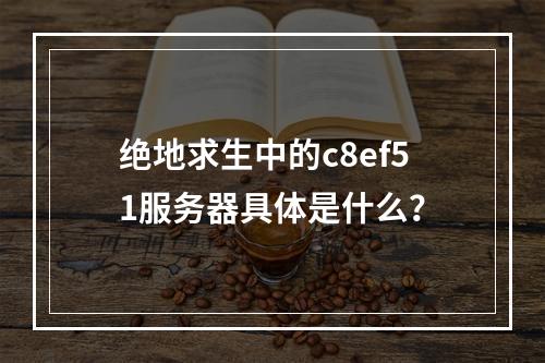 绝地求生中的c8ef51服务器具体是什么?