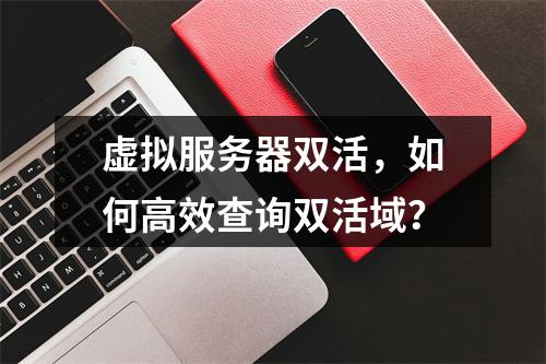 虚拟服务器双活,如何高效查询双活域?