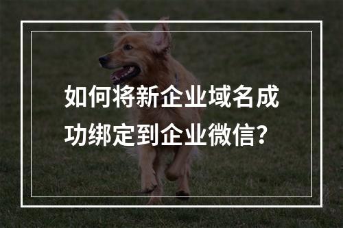 如何将新企业域名成功绑定到企业微信?