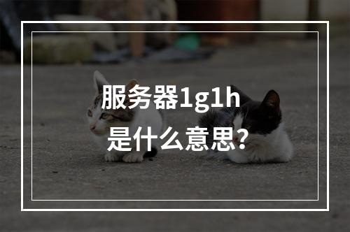 服务器1g1h 是什么意思?