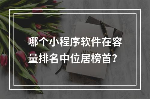 哪个小程序软件在容量排名中位居榜首?