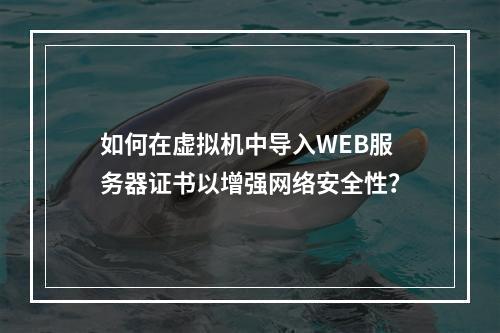如何在虚拟机中导入WEB服务器证书以增强网络安全性?