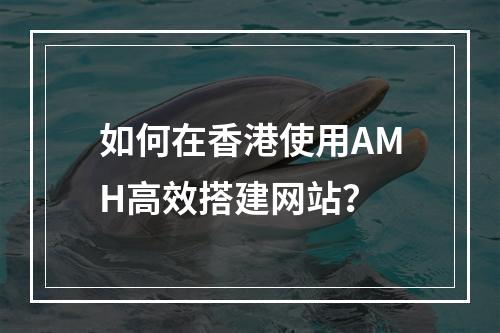 如何在香港使用AMH高效搭建网站?