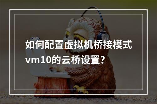 如何配置虚拟机桥接模式vm10的云桥设置?
