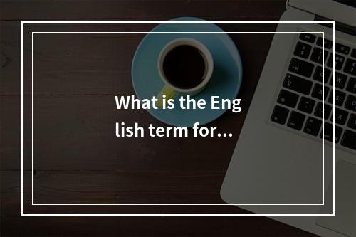What is the English term for a server chip?