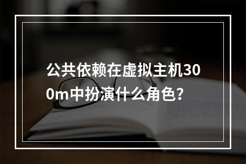 公共依赖在虚拟主机300m中扮演什么角色?