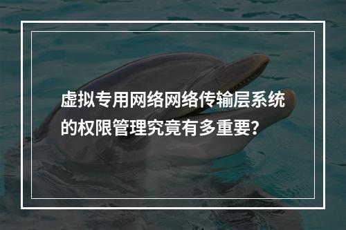 虚拟专用网络网络传输层系统的权限管理究竟有多重要?