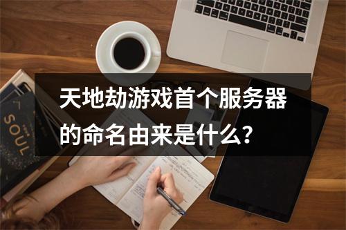 天地劫游戏首个服务器的命名由来是什么?