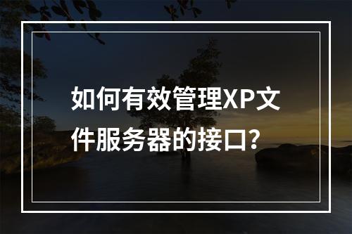 如何有效管理XP文件服务器的接口?