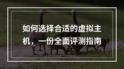 如何选择合适的虚拟主机,一份全面评测指南