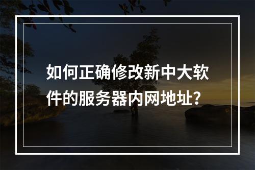 如何正确修改新中大软件的服务器内网地址?