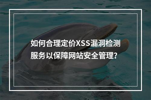 如何合理定价XSS漏洞检测服务以保障网站安全管理?