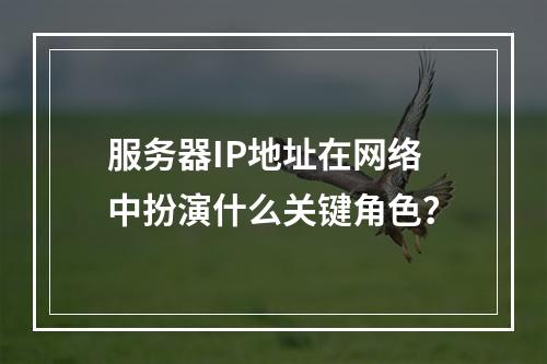 服务器IP地址在网络中扮演什么关键角色?