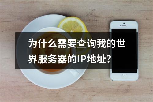 为什么需要查询我的世界服务器的IP地址?