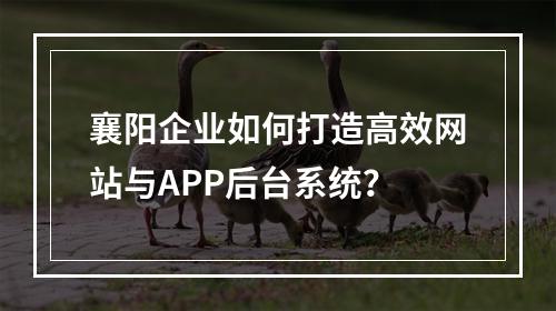 襄阳企业如何打造高效网站与APP后台系统?
