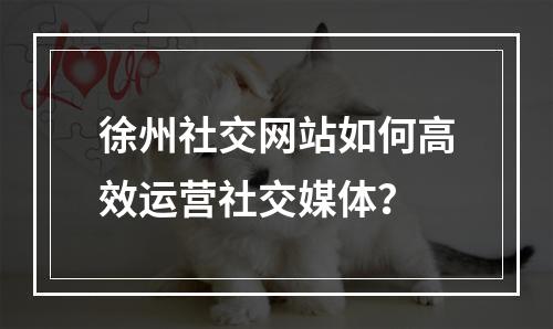 徐州社交网站如何高效运营社交媒体?
