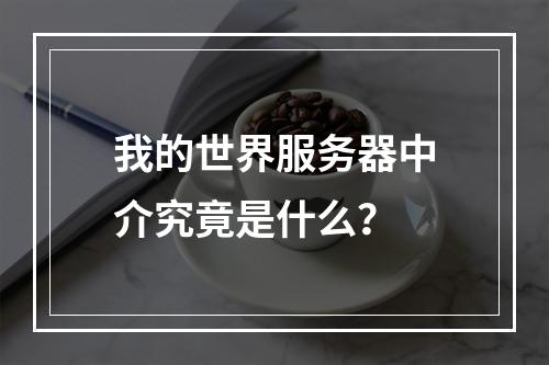 我的世界服务器中介究竟是什么?