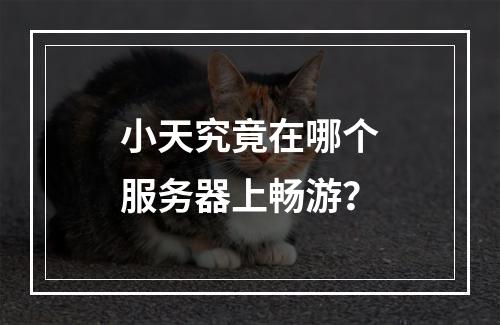 小天究竟在哪个服务器上畅游?