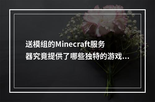 送模组的Minecraft服务器究竟提供了哪些独特的游戏体验?