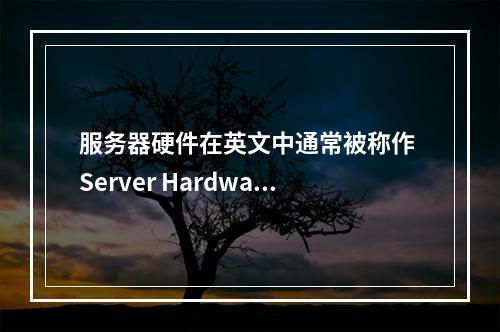 服务器硬件在英文中通常被称作 Server Hardware。
