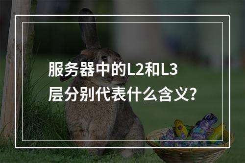 服务器中的L2和L3层分别代表什么含义?