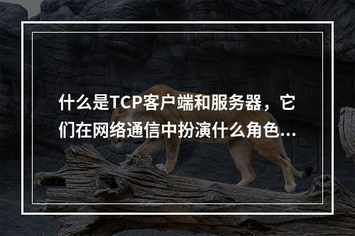 什么是TCP客户端和服务器,它们在网络通信中扮演什么角色?