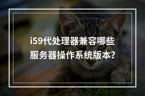 i59代处理器兼容哪些服务器操作系统版本?