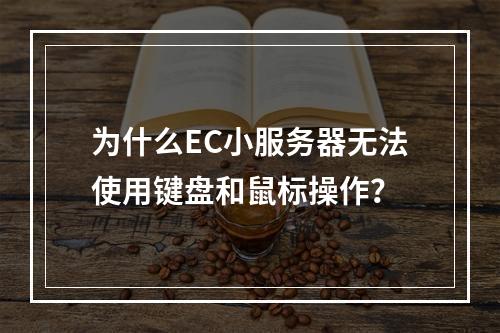 为什么EC小服务器无法使用键盘和鼠标操作?